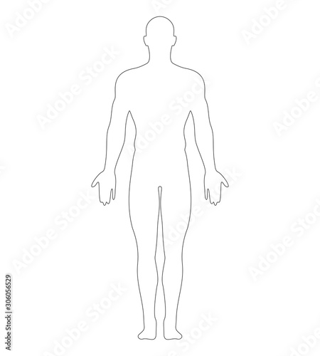 Anatomical Position Anterior View Male Body Vector Outline.