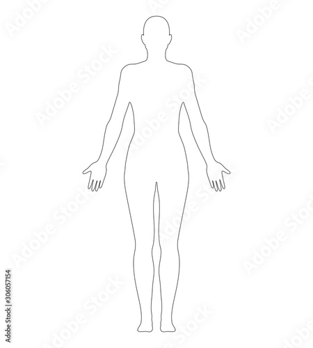Anatomical Position Anterior View Female Body Outline Vector Illustration.