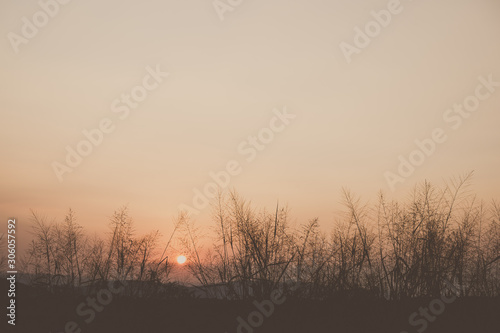 nature landscape of sunset ...