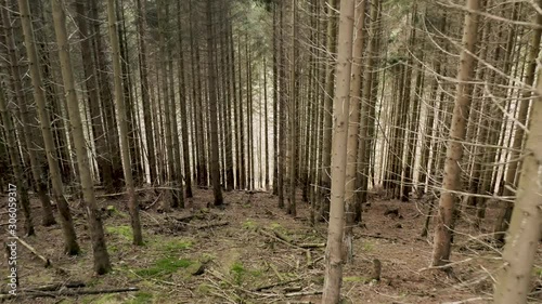 Impressions of the Harz national park on a dark moody day, captured by a drone flying very high and in between trees with beautiful orange and red leaves, North Germany, Europe photo