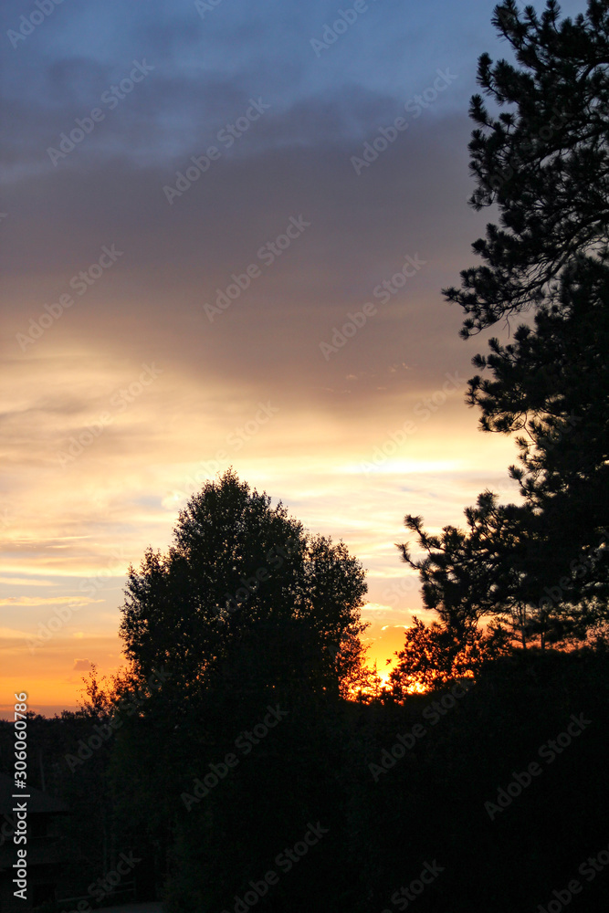 Fototapeta premium Beautiful Sunset with Trees Silhouetted
