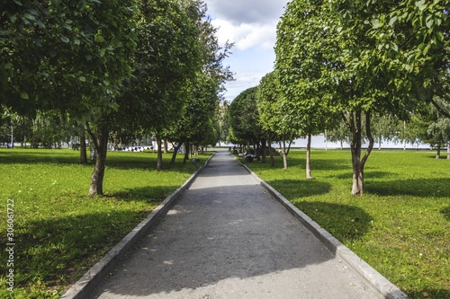 Summer landscape, forest road into the distance