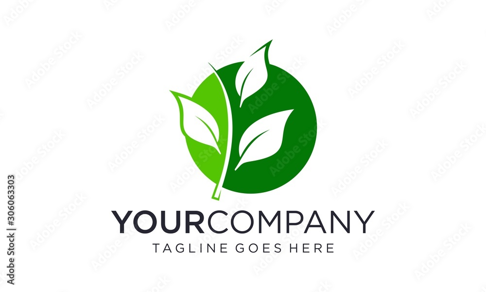 Natural green leaf logo design vector on white background Natural green leaf logo design vector on white background