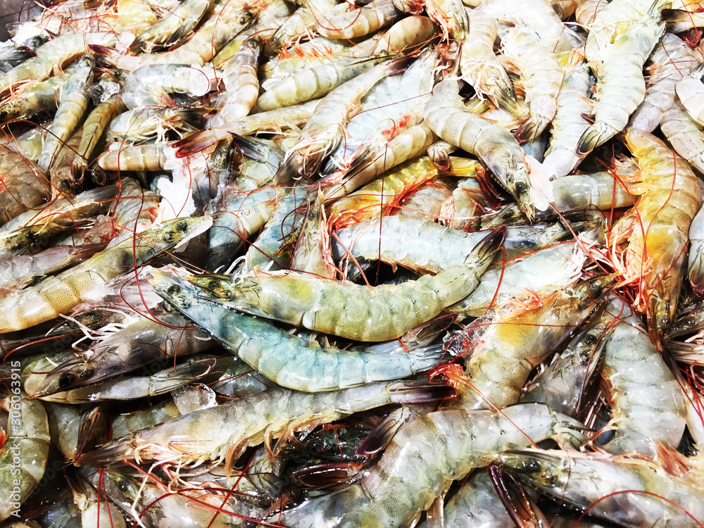Close up Raw Fresh shrimp for sale at the market, shrimps background with copy space Close up Raw Fresh shrimp for sale at the market, shrimps background with copy space