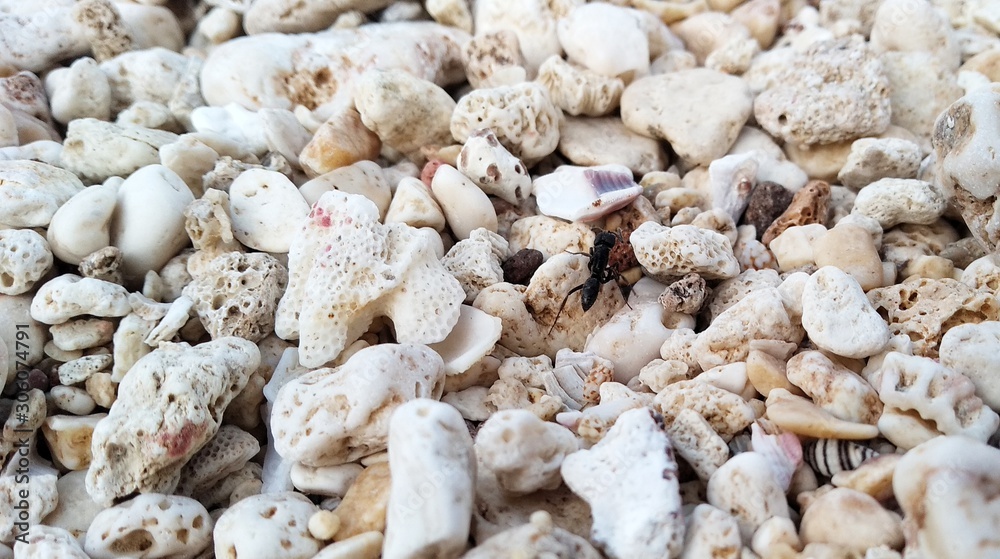 gravel on the beach. natural background pattern gravel on the beach. natural background pattern