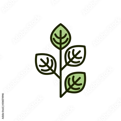 plant leaves natural environment ecology line and fill
