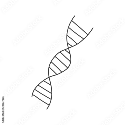 Stylish banner, dna helix sketch hand drawn.