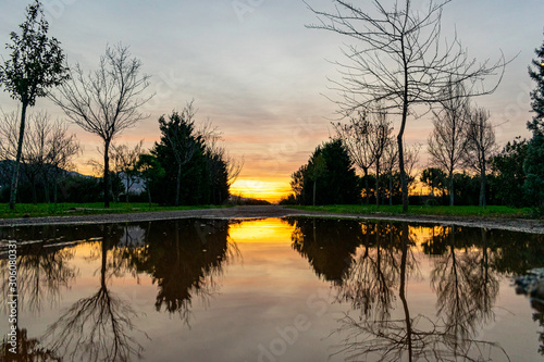 Reflection of trees and sun in water at sunset.