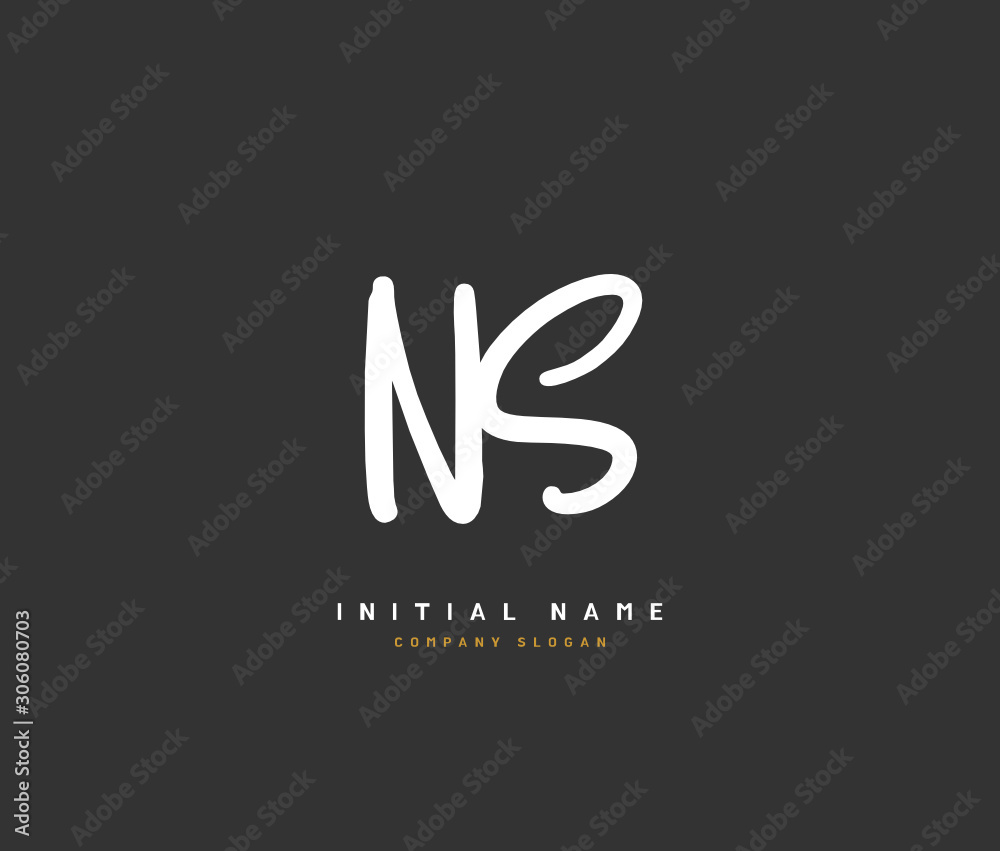 N S NS Beauty vector initial logo, handwriting logo of initial signature, wedding, fashion, jewerly, boutique, floral and botanical with creative template for any company or business. N S NS Beauty vector initial logo, handwriting logo of initial signature, wedding, fashion, jewerly, boutique, floral and botanical with creative template for any company or business.