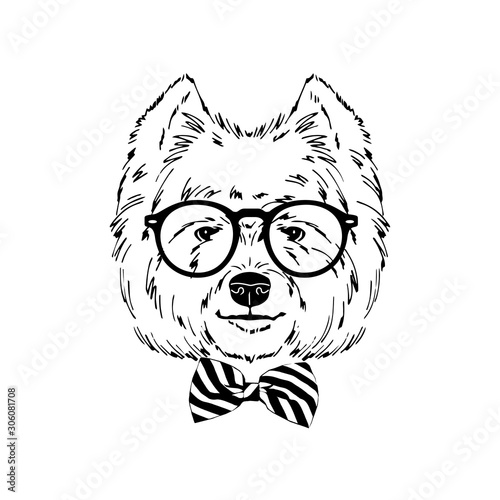 West Highland white terrier breed dog wear glasses, stripy tie bow isolated on white background Symmetrical pet head. Realistic hand drawn vector illustration.