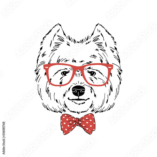 West Highland white terrier breed dog wear red glasses, tie bow isolated on white background Symmetrical pet head. Realistic hand drawn vector illustration.