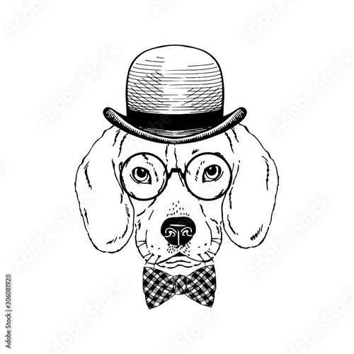 Beagle breed dog wear glasses, plaid tie bow, bowler hat isolated on white background Symmetrical pet head. Realistic hand drawn vector illustration.