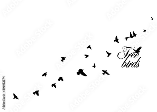 A flock of flying birds. Vector illustration