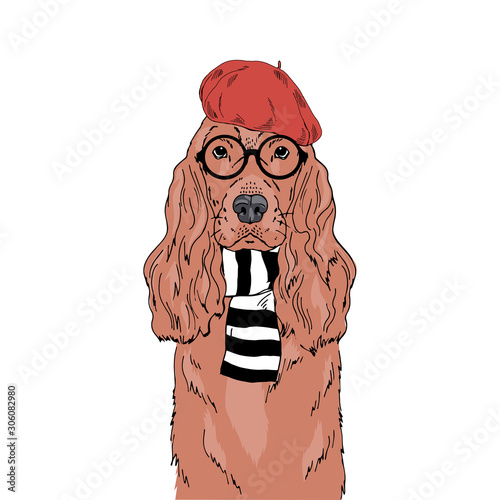 English Cocker Spaniel breed dog wear round glasses, stripy scarf, red french beret isolated on white background Symmetrical pet portrait. Realistic hand drawn vector illustration.