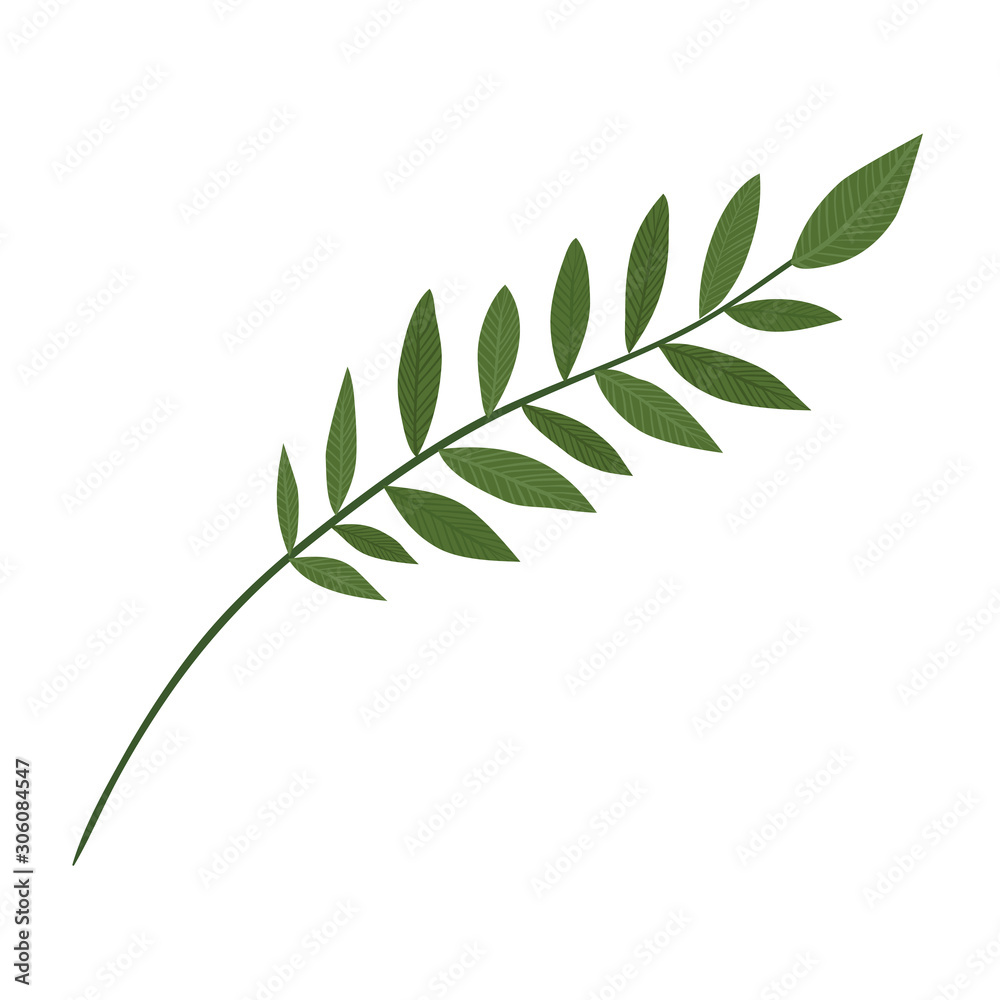 Isolated leaves icon vector design Isolated leaves icon vector design