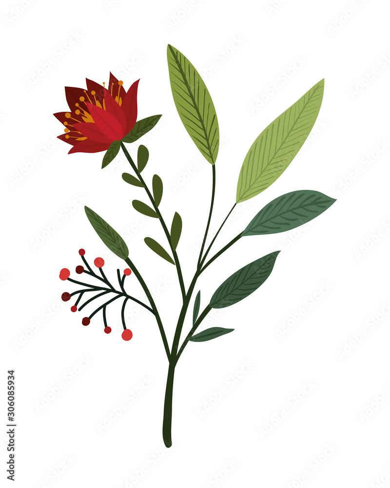 Isolated winter flower vector design Isolated winter flower vector design