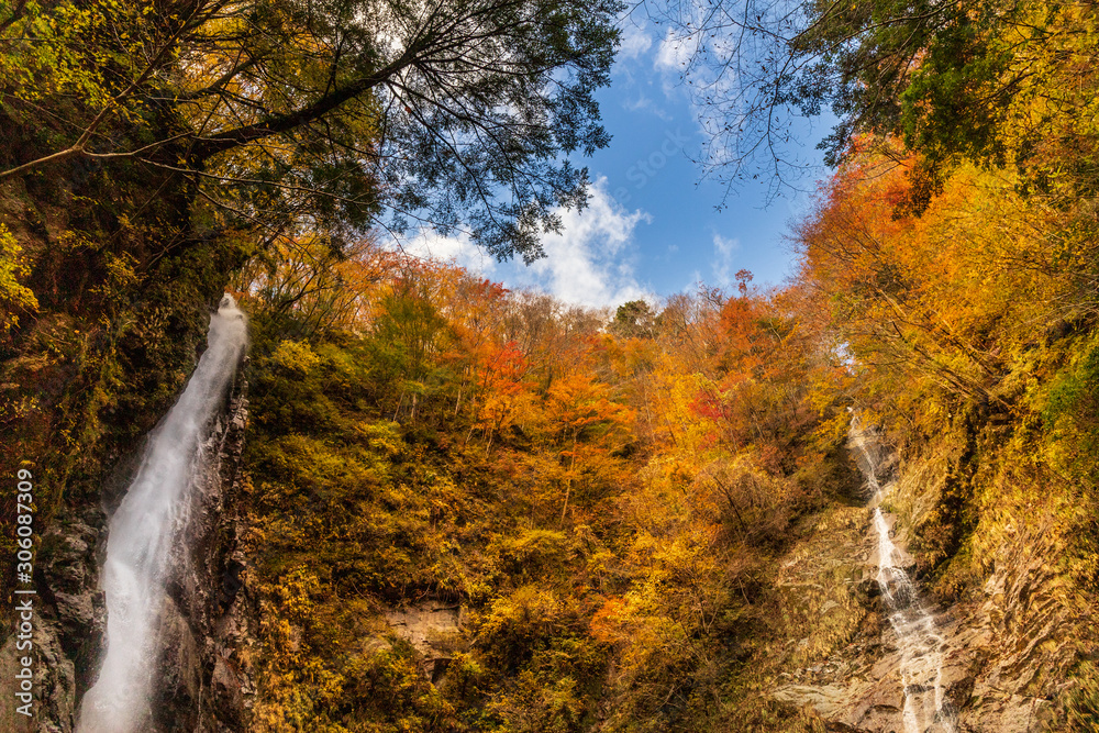 紅葉の西丹沢 本棚　涸棚の滝