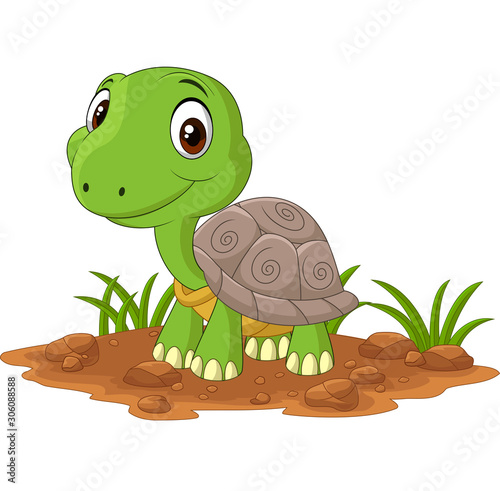 Cartoon baby turtle in the field