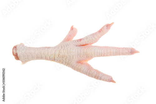 chicken paw on a white background