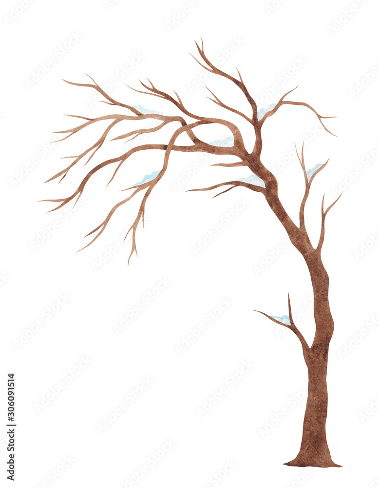 Fototapeta premium Watercolor winter tree. Tree without leaves silhouette isolated on white background.