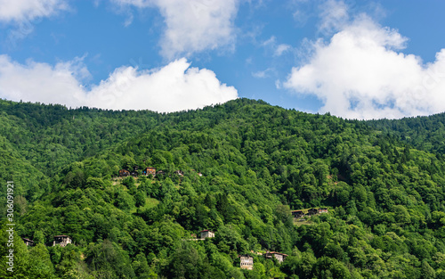 Houses between forested area and trees in the Black Sea. Blue sky and clouds.