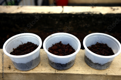 Small plastic containers with garden soil