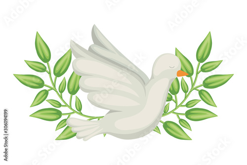 Isolated dove bird vector design
