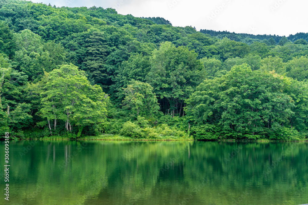 五色沼 Goshiki-numa lake in Nishikawa-machi, Yamagata Prefecture, Japan - obrazy, fototapety, plakaty 