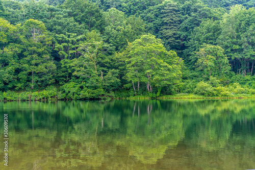           Goshiki-numa lake in Nishikawa-machi  Yamagata Prefecture  Japan