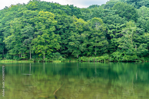           Goshiki-numa lake in Nishikawa-machi  Yamagata Prefecture  Japan