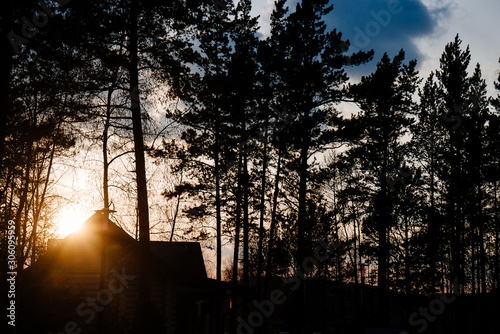 sunset in the village in the thick branches of trees