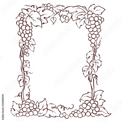 Frame from grapes / Vector illustration, floral design element