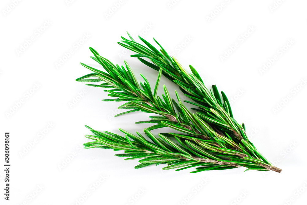 Fototapeta premium Top view, Branch and Leaf of fresh raw rosemary isolated on white background. Tiwgs - leaf green. Organic and herbal nature concept, Flat lay