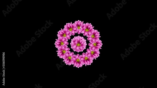 Flowers background