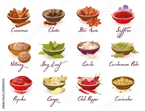 Big vector set with different kinds of spices, herbs, condiments, additives cinnamon, nutmeg, paprika, cloves, bay leaves, ginger, star anise, garlic, chili pepper, saffron cardamom pods coriander
