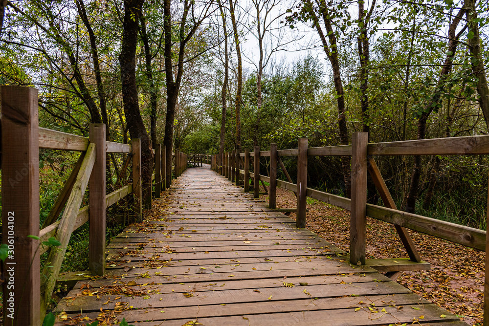 Wooden bridge in the forest. Autumn themed wooden road evoking loneliness. Wooden pier for walking Acarlar Longozu.