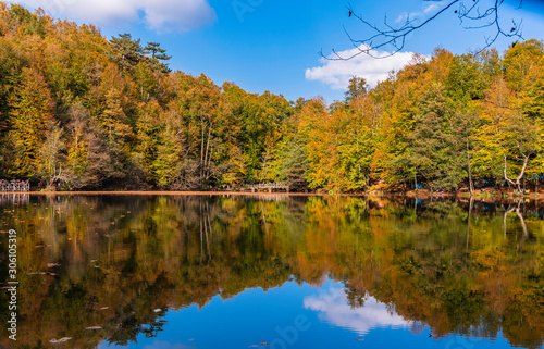 Reflection of autumn trees in water. Autumn landscape in Bolu Yedigoller Nati...