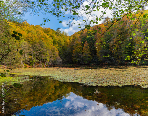 Autumn landscape with lake and trees. Autumn landscape in Bolu Yedigoller Nat...