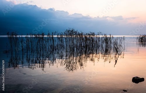 Reflection of reeds in the lake during sunset.