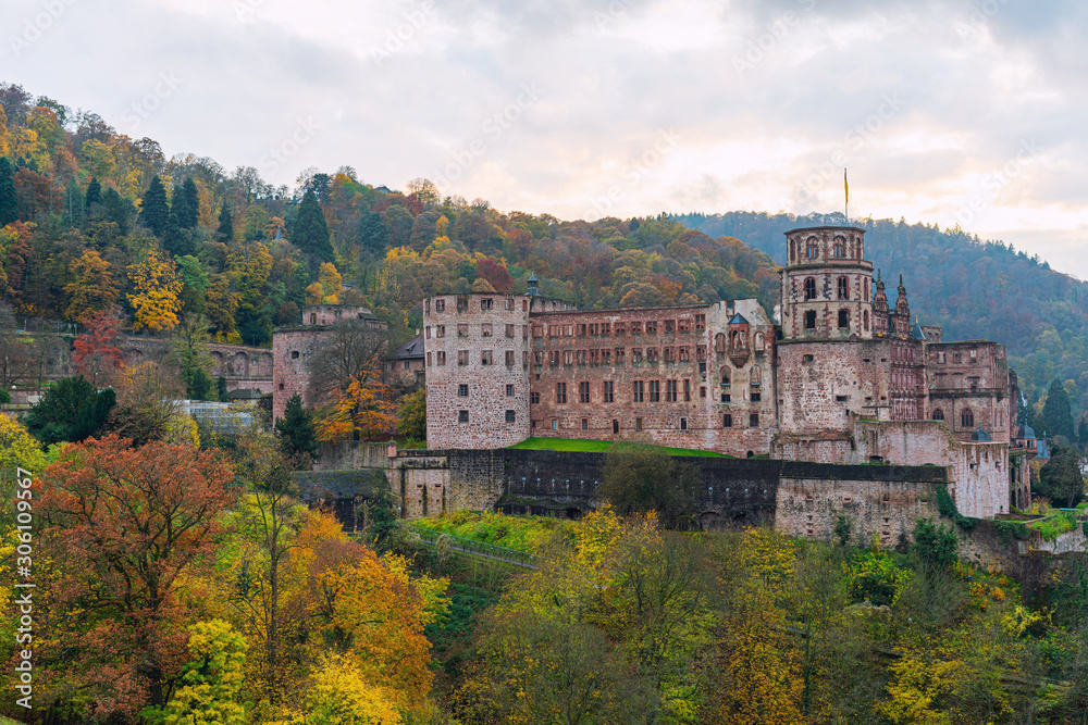 Panoramic view and the castle of Heidelberg city in Germany.