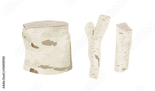 Birch tree stumps and logs vector illustrations set