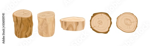 Tree stumps and logs vector illustrations set