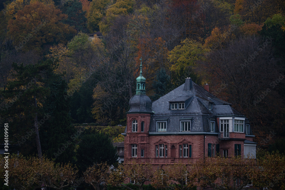 Obraz premium Old houses in the Heidelberg city in Germany.