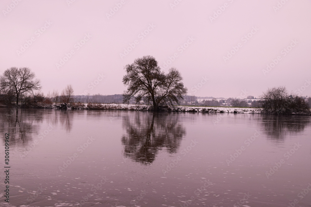 Reflection Tree with frozen lake in winter on black and white color