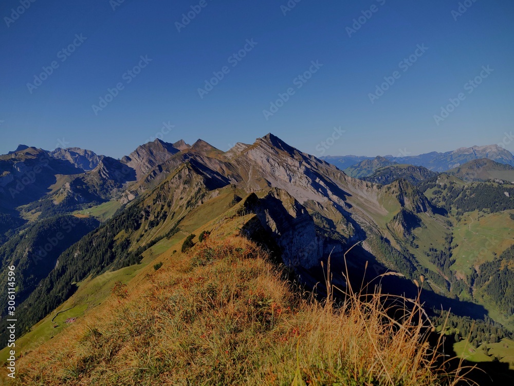 Naklejka premium Oberbauenstock