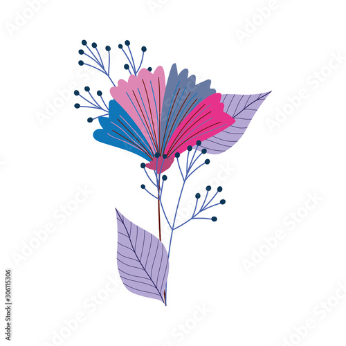 Isolated flowers and leaves drawing vector design