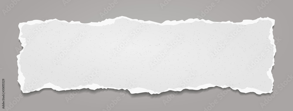 Piece of torn, white realistic grainy horizontal paper strip with soft shadow is on grey background. Vector illustration - obrazy, fototapety, plakaty 