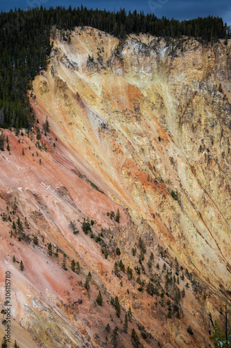 On slope of Grand Canyon of the Yellowstone