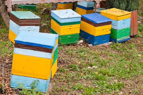 Hives in an apiary © injenerker