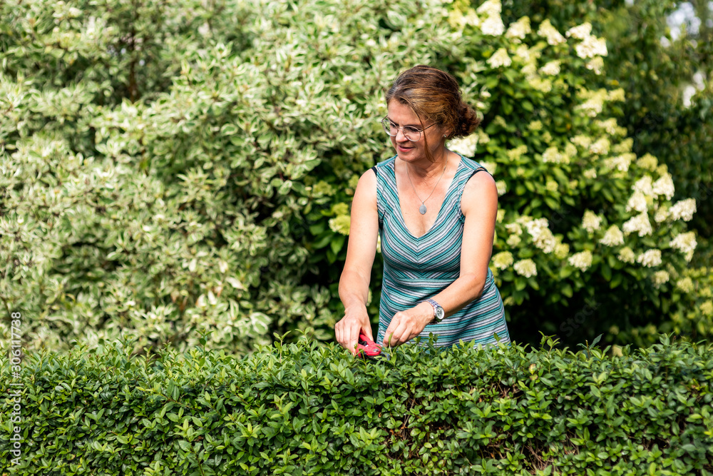 Woman with secateurs cutting the hedge Woman with secateurs cutting the hedge